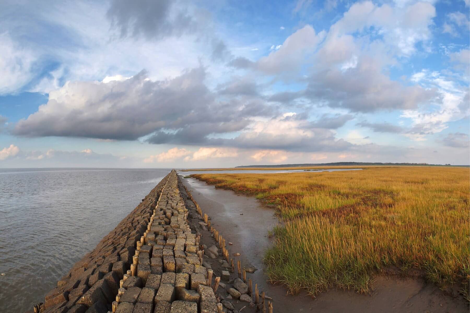 Berenscher Salzwiesen