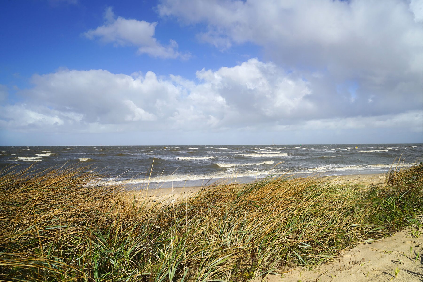 Düne bei der Kugelbake