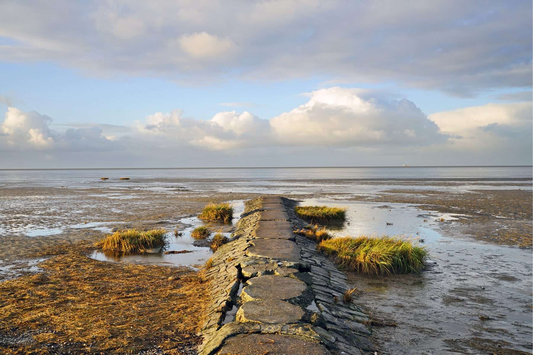 Buhne am Döser Strand