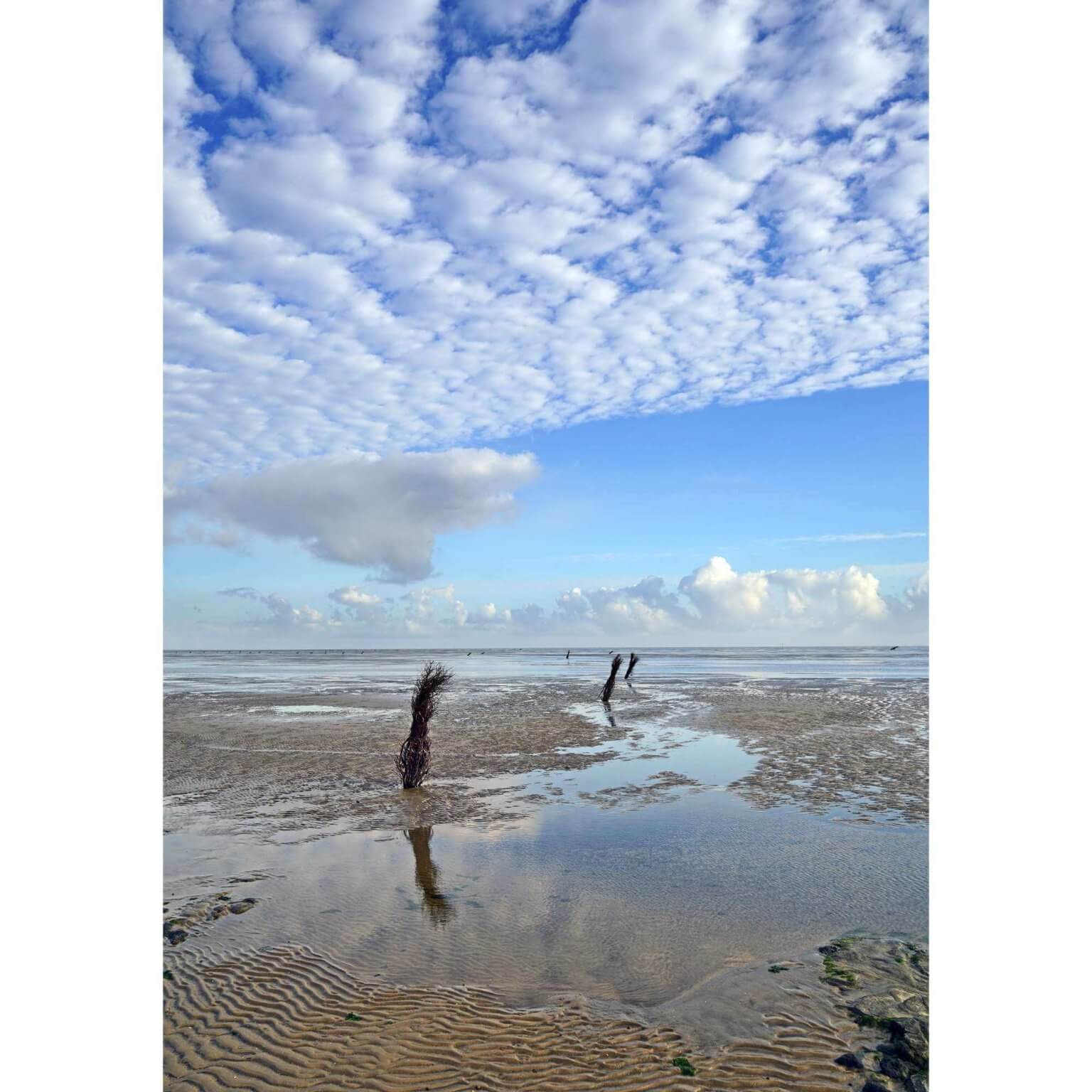 Wattenmeer
