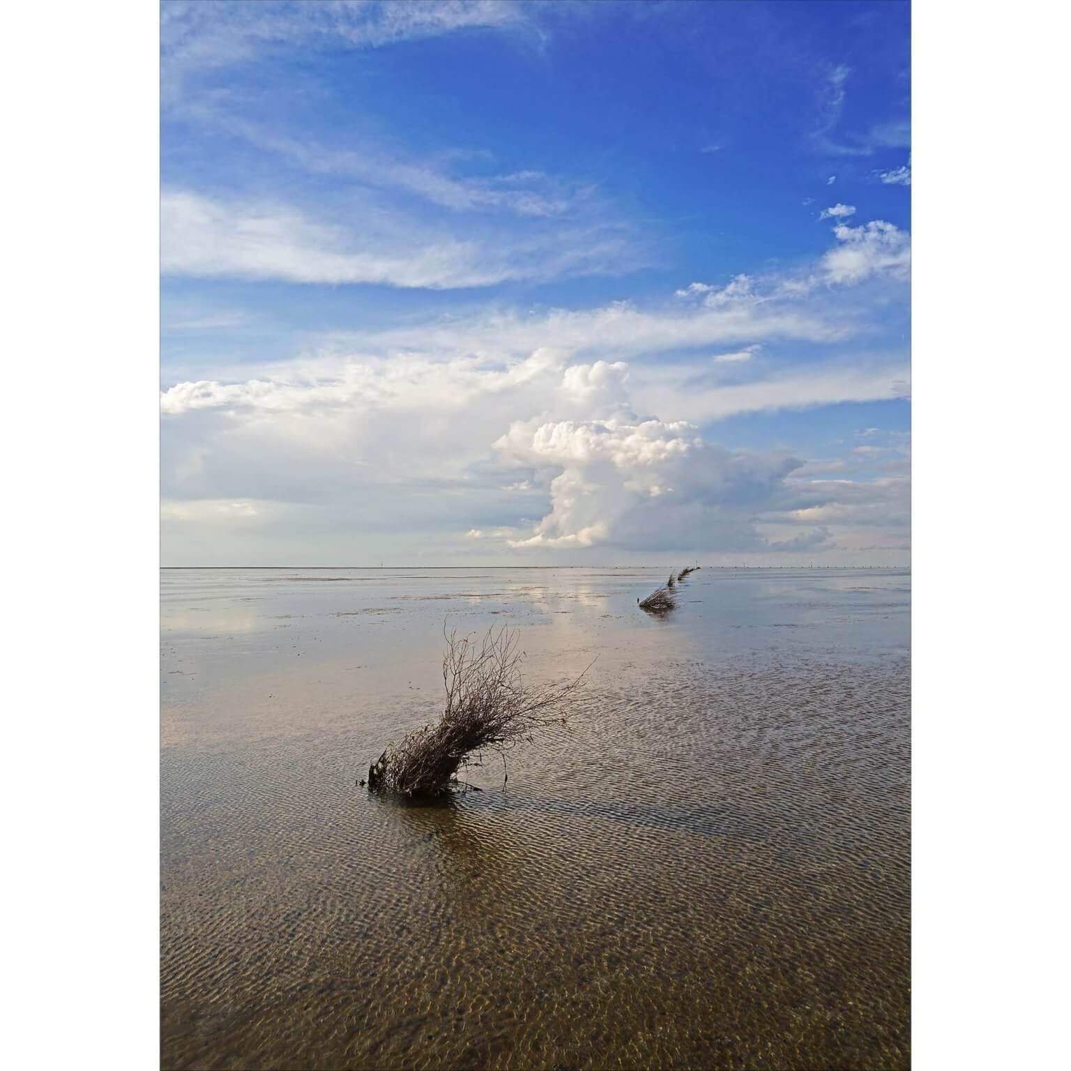 Wattenmeer