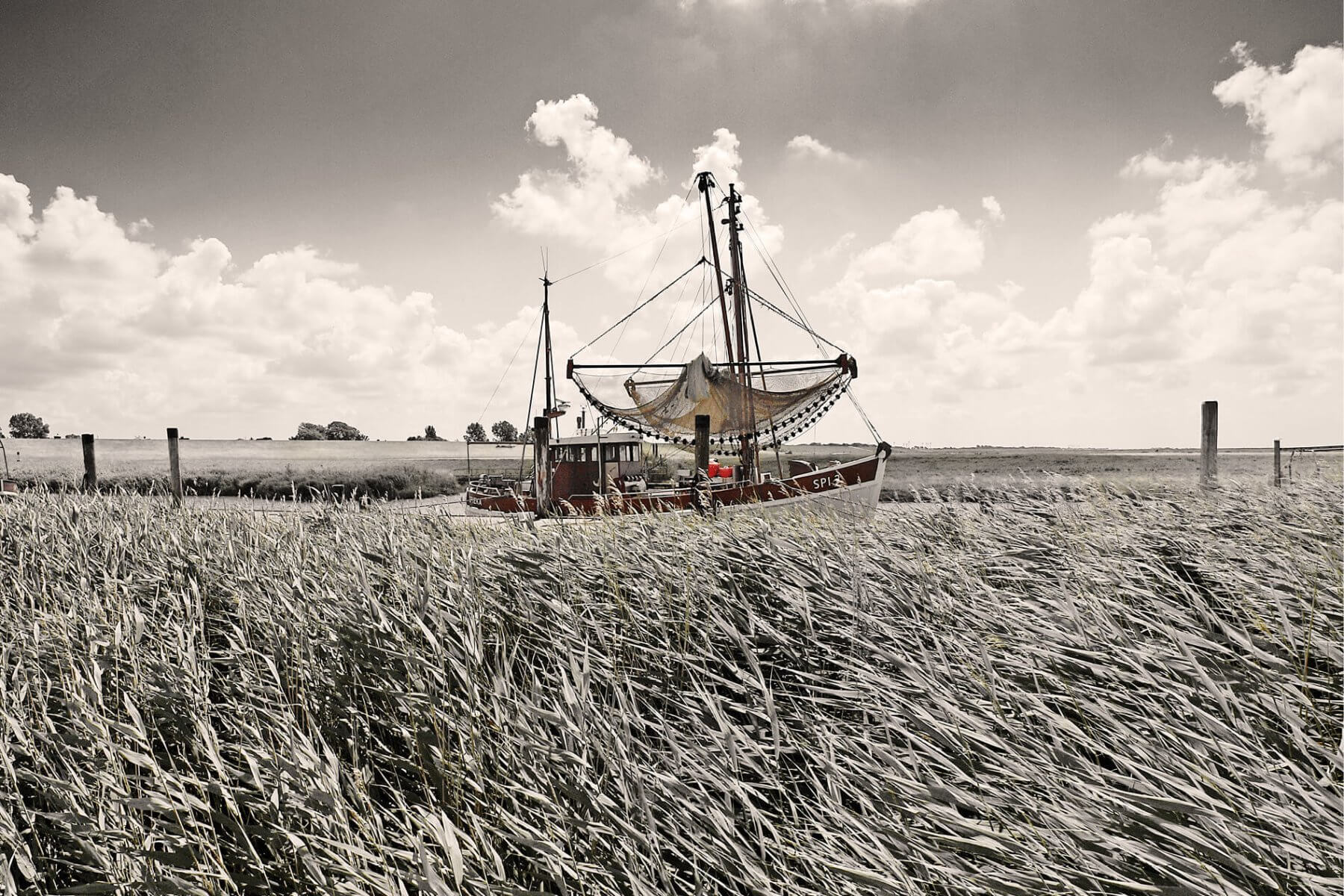 Krabbenkutter, Spieka-Neufeld