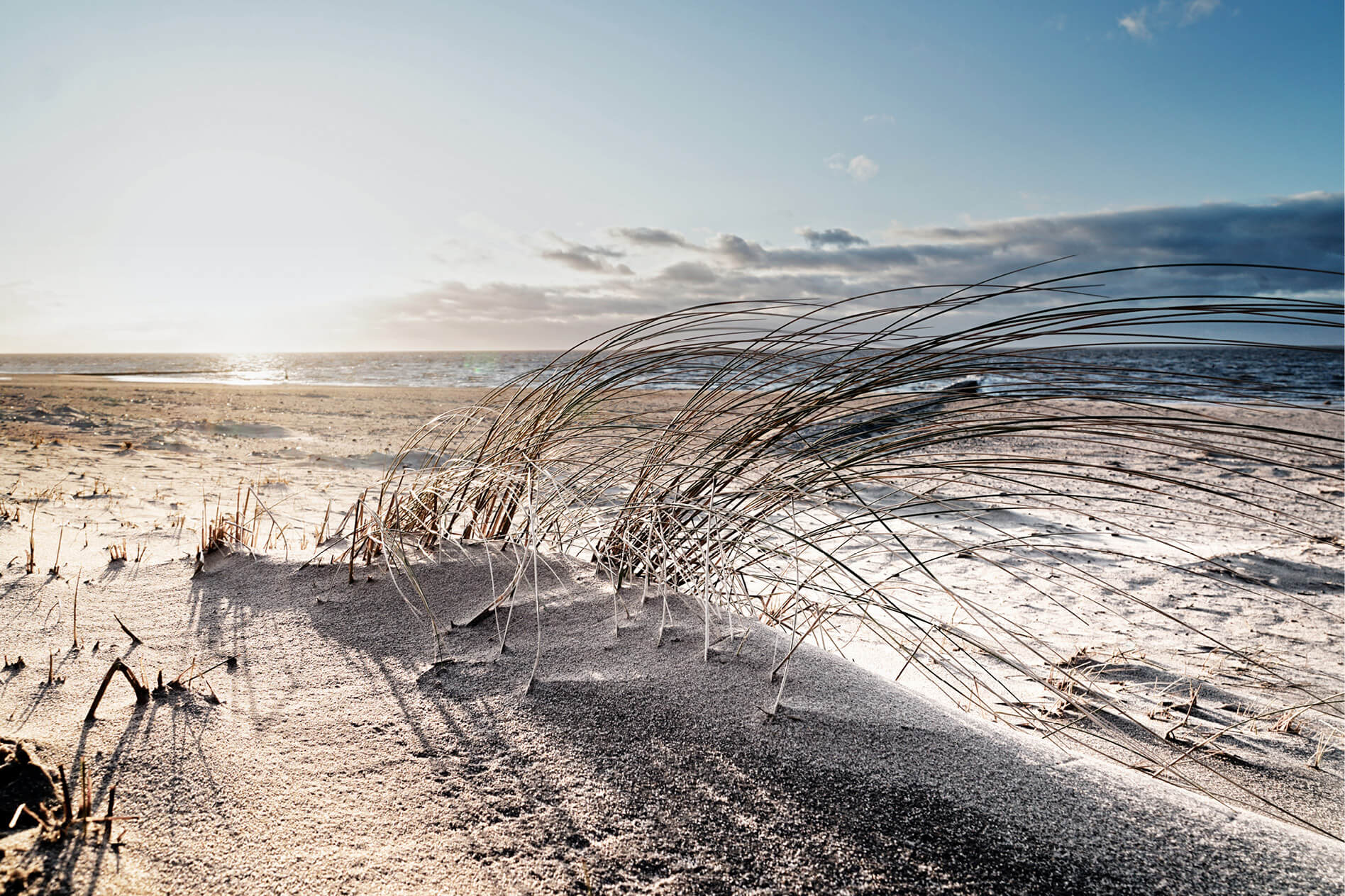 Sahlenburg Absolut Cuxhaven