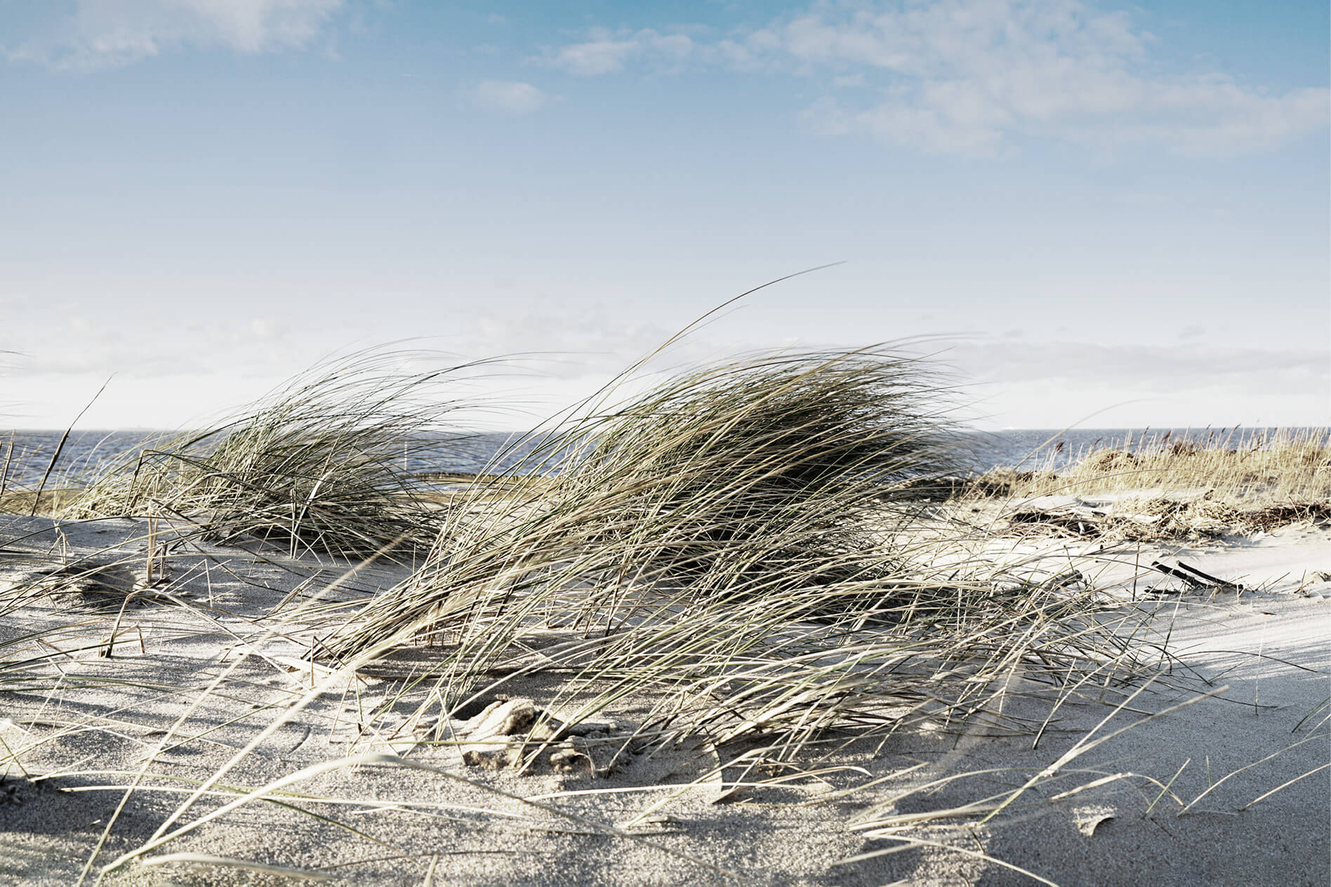 Sahlenburg Absolut Cuxhaven
