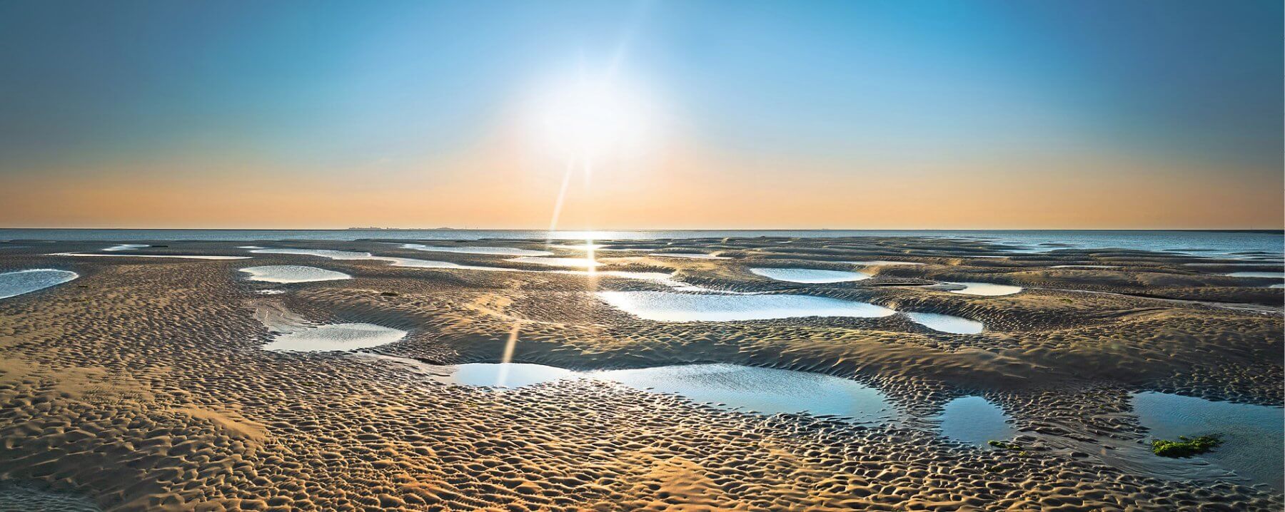 Wattenmeer