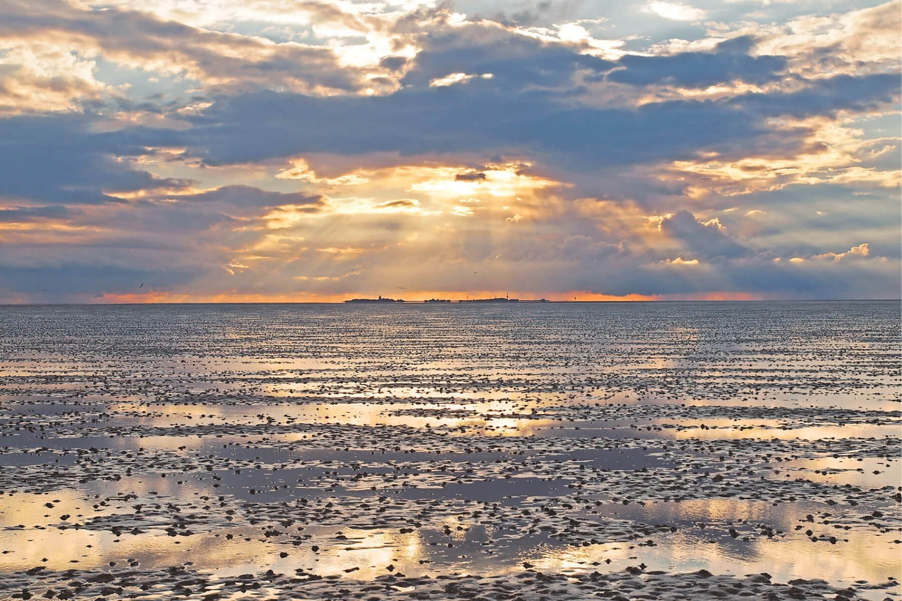 Wattenmeer