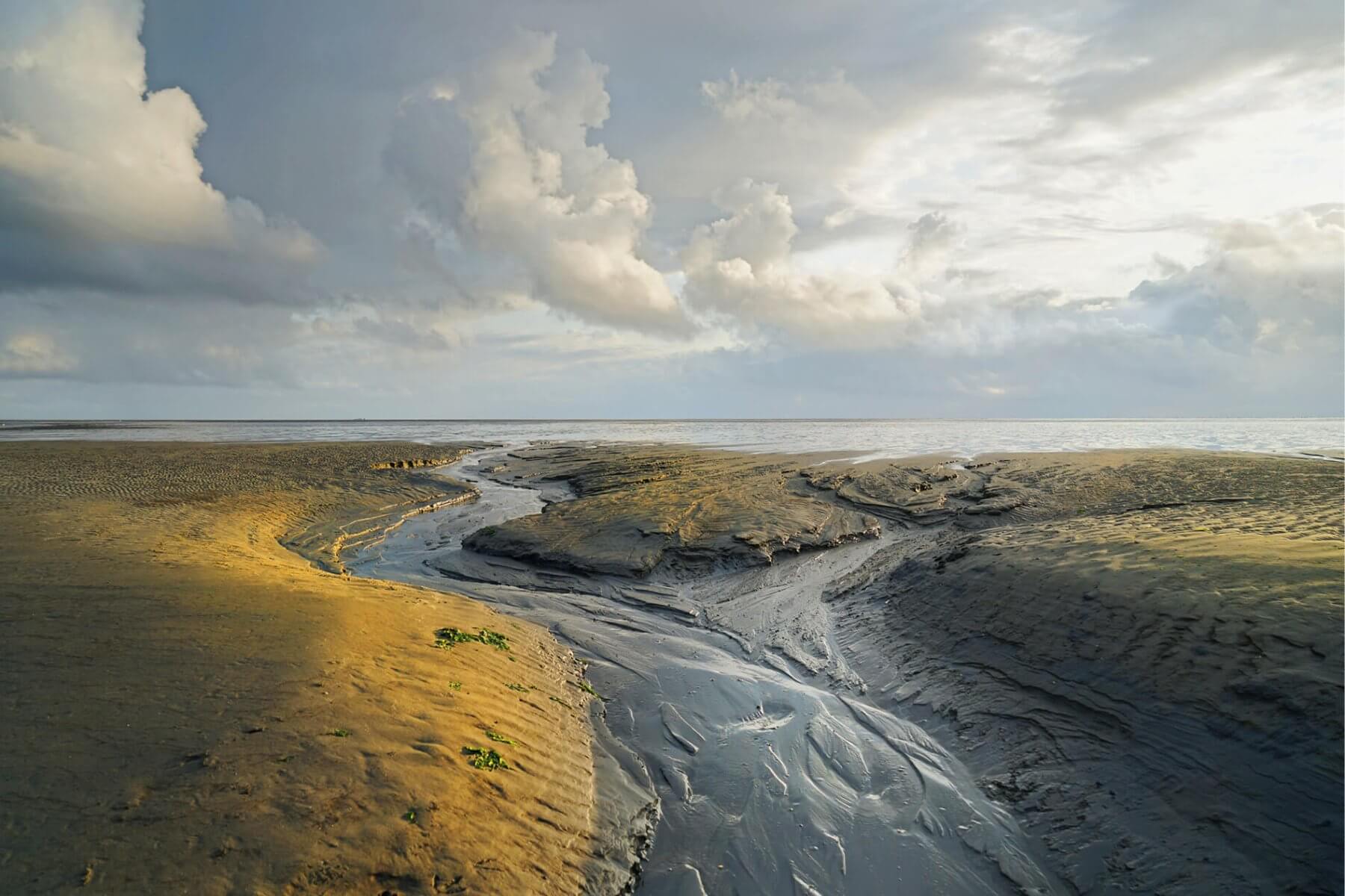 Wattenmeer