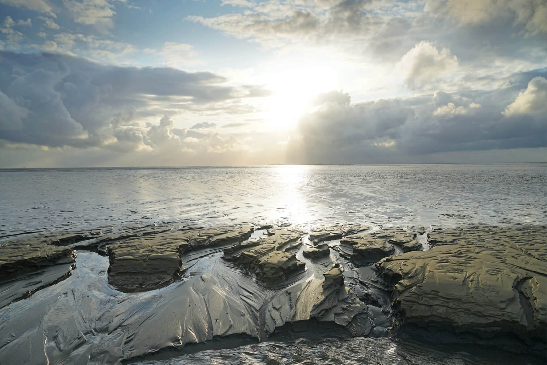 Wattenmeer