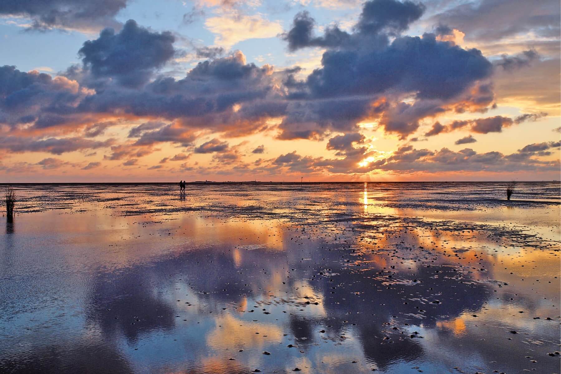 Wattenmeer