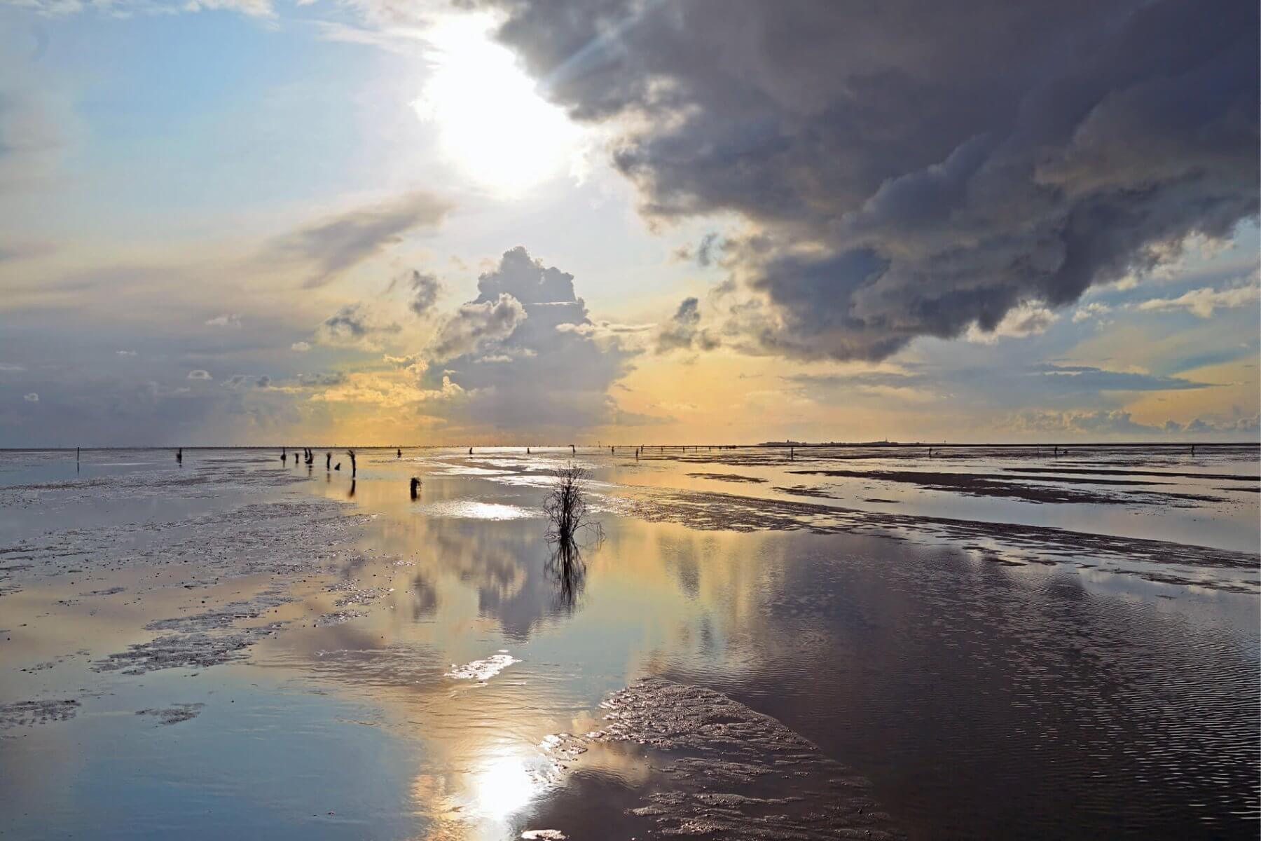 Wattenmeer
