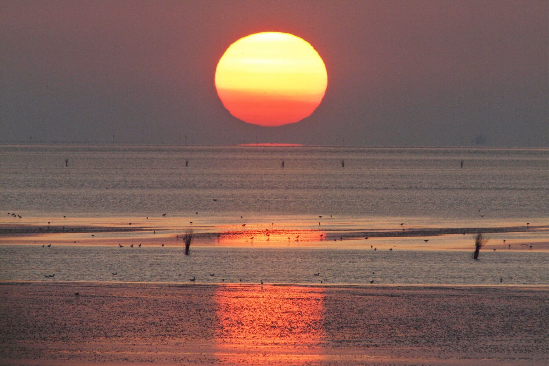 Wattenmeer