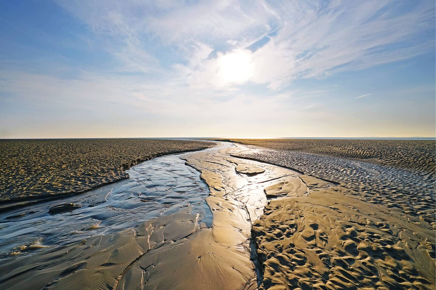 Wattenmeer