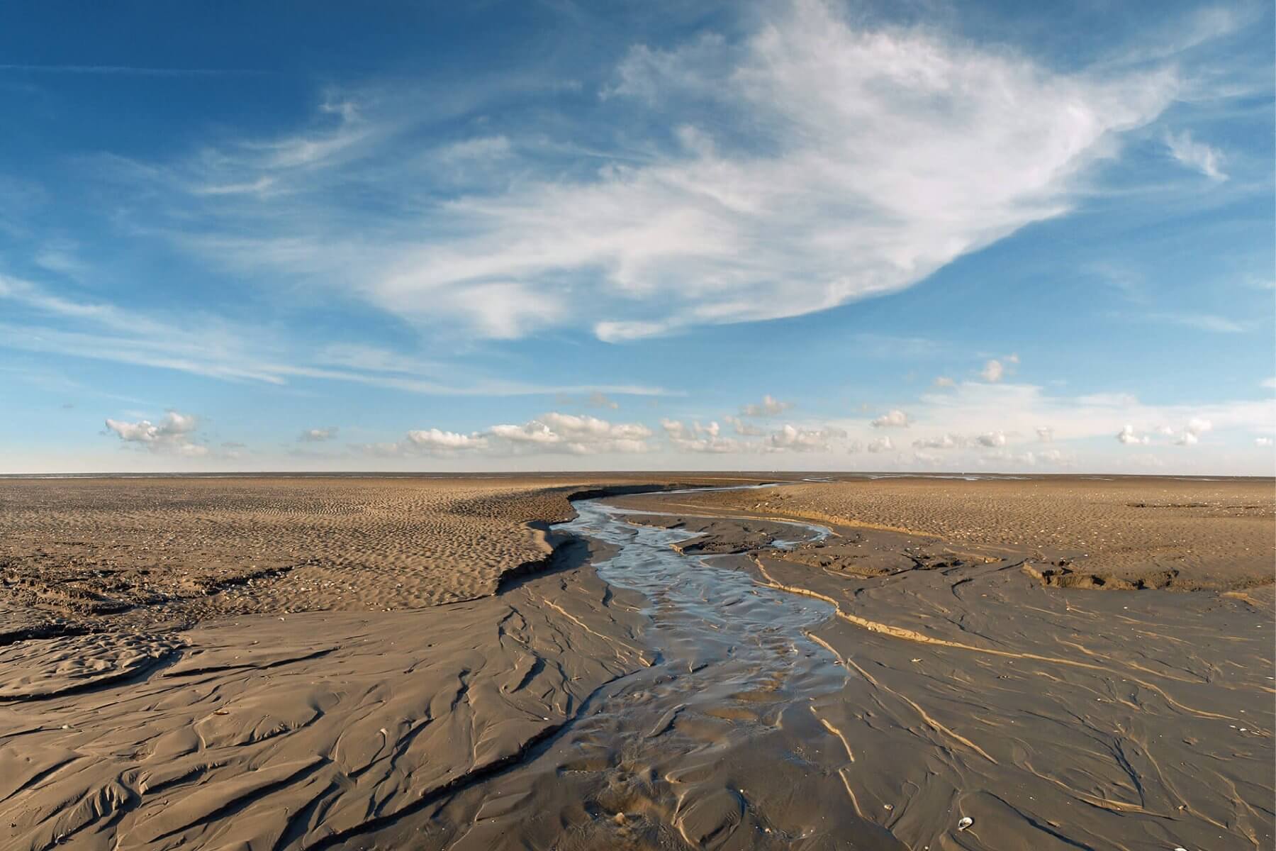 Wattenmeer