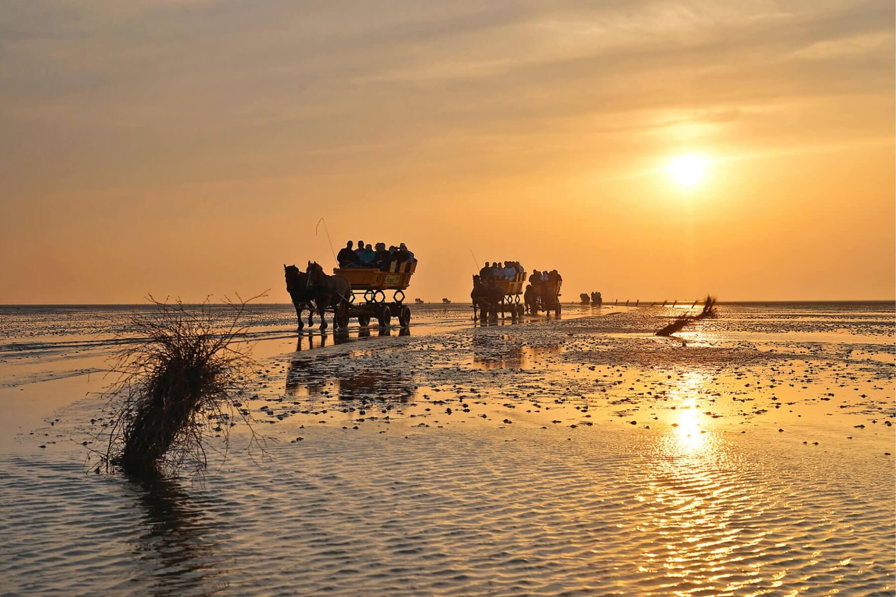 Wattenmeer