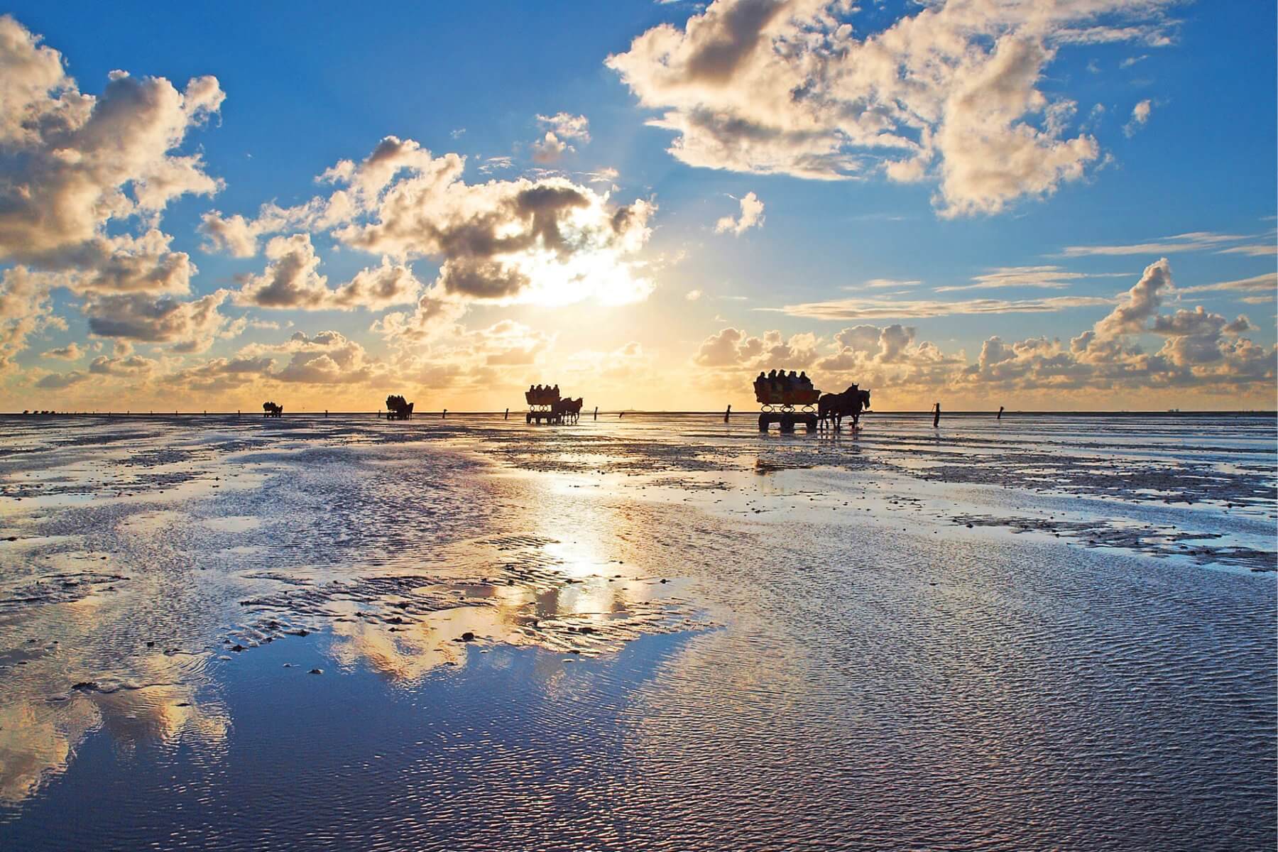 Wattenmeer
