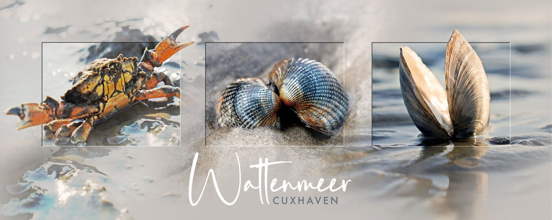 Wattenmeer-Collage