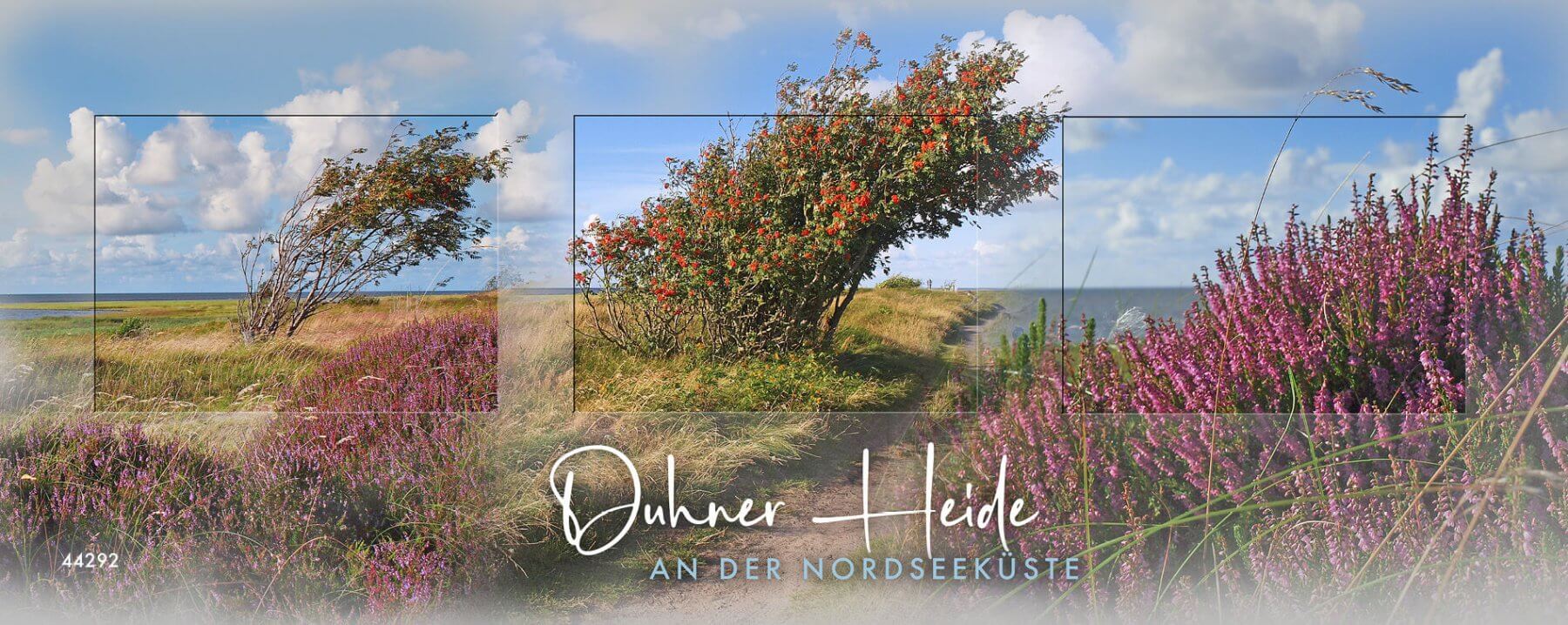 Duhner Heide