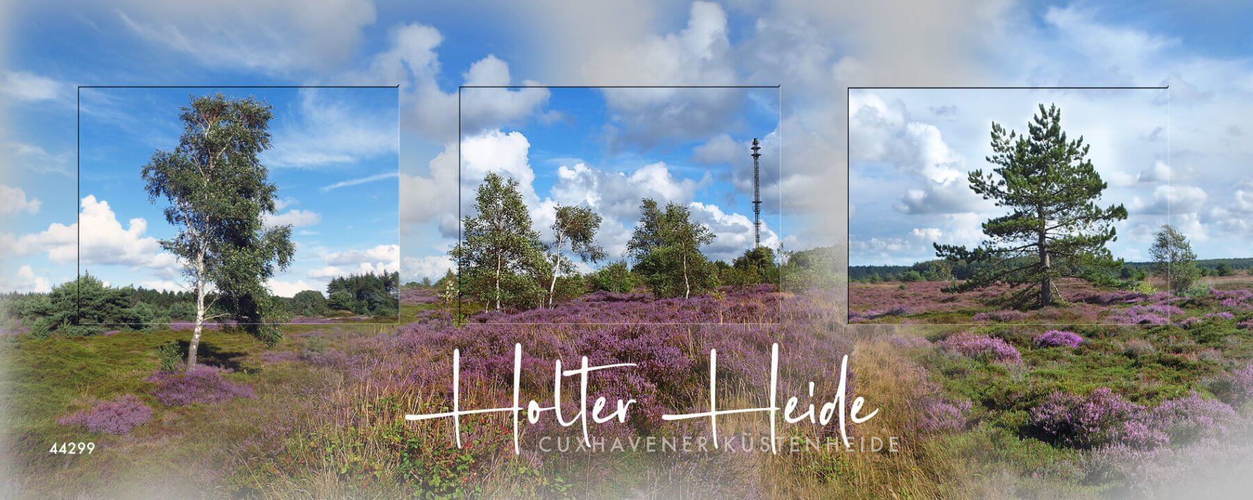 Collage Holter Heide