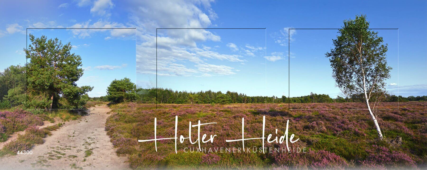 Collage Holter Heide