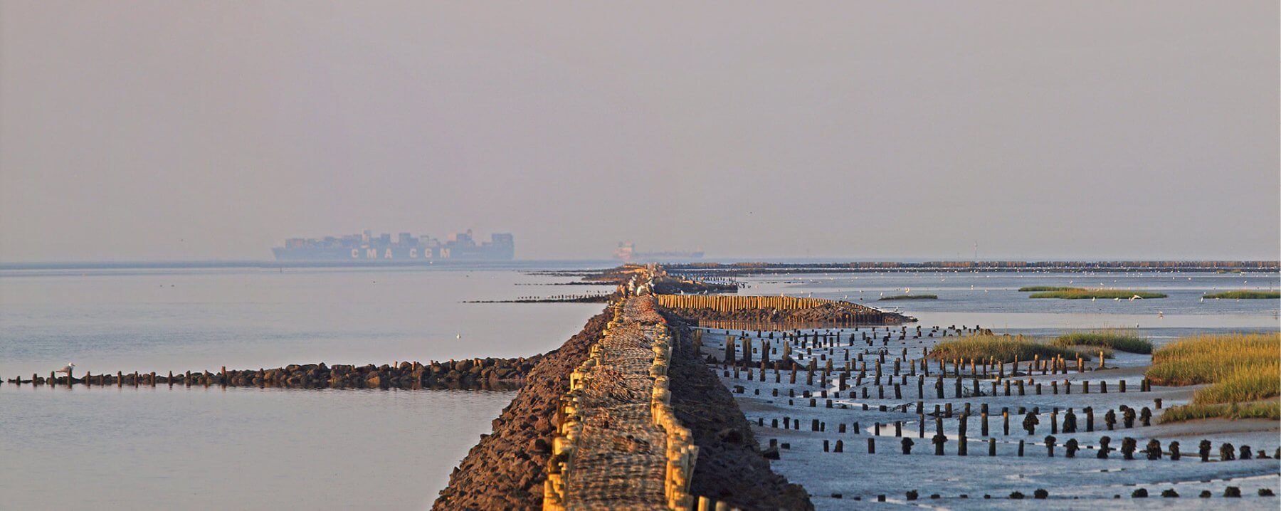 Berenscher Salzwiesen