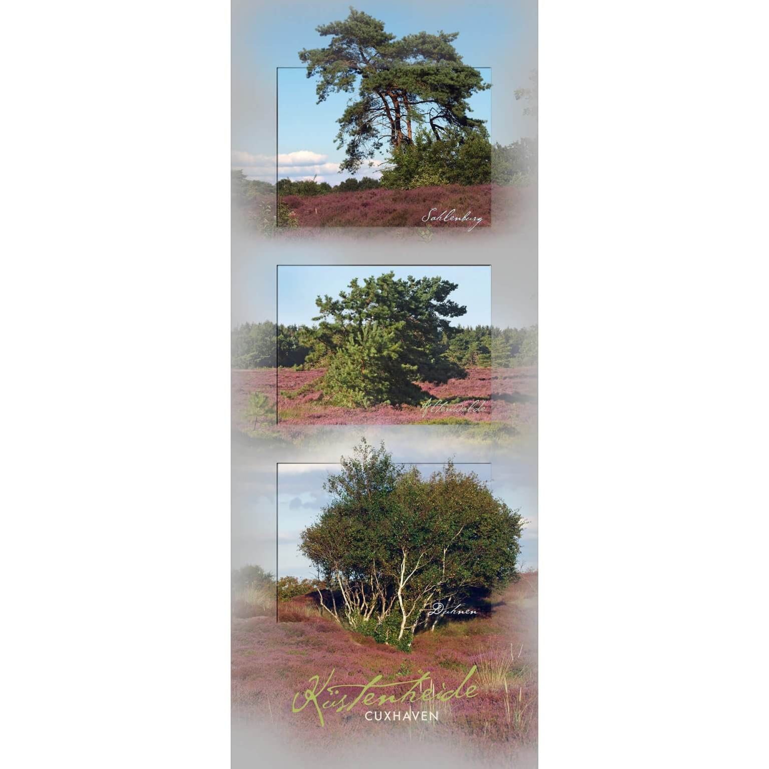 Collage Cuxhavener Heide