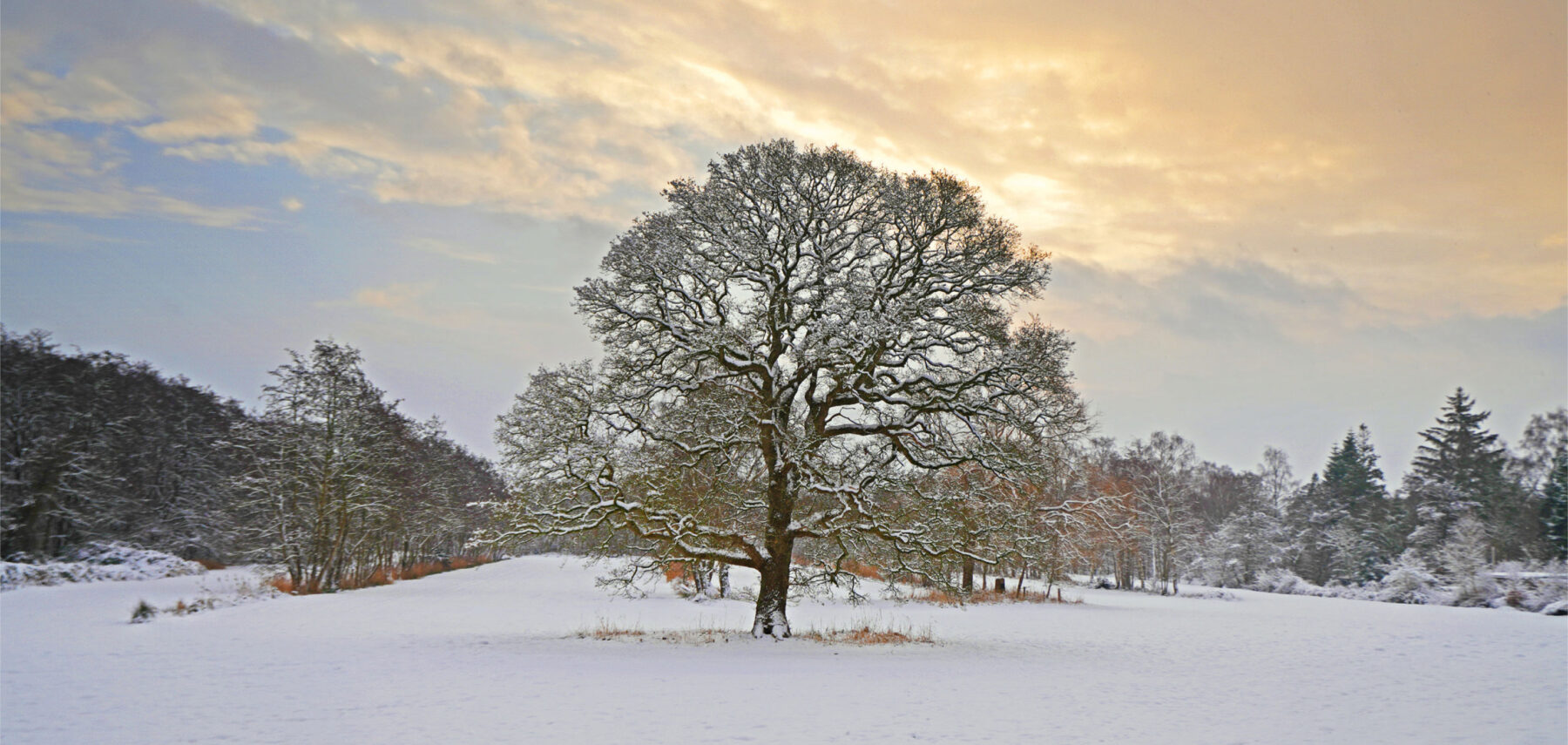 Weihnachtskarte